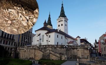 Ľudské ostatky, nájdené pod žilinskou katedrálou, budú pochované na dôstojné miesto