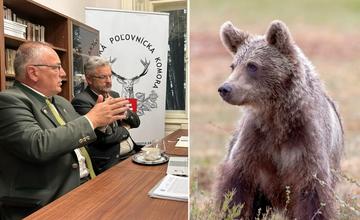 Situácia s medveďmi je podľa poľovníkov a ochranárov politicky manipulovaná