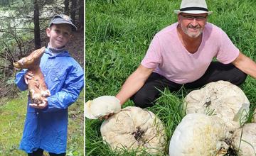 FOTO: Tromfnú ostatné regióny Liptov? Takéto poklady našli hubári zo Žilinského kraja