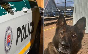 Policajný pes vyčuchal drogy u mladíka, ktorý sa viezol vlakom z Čadce do Žiliny