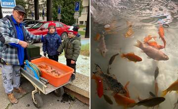 FOTO: Deti pomohli uložiť rybičky z fontány žilinskej nemocnice na zimný spánok