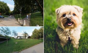 Vybudujú na Vlčincoch dva psie parky? Poslanci schválili návrh s obomi lokalitami