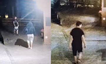 VIDEO: Nepoznáte osoby zachytené kamerou na Hlinskej ulici? Polícia ich hľadá v súvislosti s krádežou