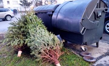 Mesto Žilina zabezpečí zber živých vianočných stromčekov. Vytvoria z nich kompost