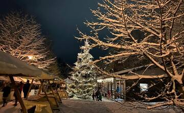 V žilinskom lesoparku sa opäť niečo chystá! Aké podujatie pripravili na nedeľu?