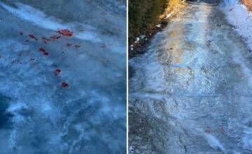FOTO: Zamrznutý chodník na Orave pokrýva krv, ľudia chodia po meste v mačkách