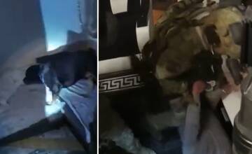 VIDEO: Žilinskí policajti pomohli NAKA rozložiť drogový gang, ktorý predával piko