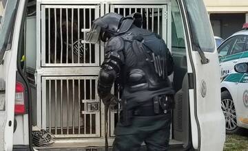 Žilina dnes privíta na domácom trávniku veľkoklub. Polícia vyzýva fanúšikov k športovému správaniu