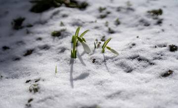 Vráti sa snehová prikrývka? Teploty opäť klesnú pod nulu, vločky budú padať v týchto mestách