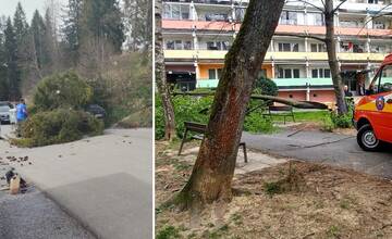 Stromy padajú na žilinských sídliskách aj na vozidlá, vietor strhol niekoľko striech