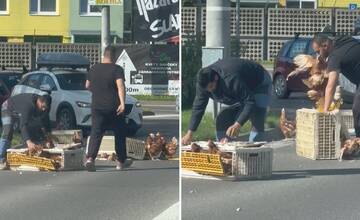 VIDEO: Na križovatke na Solinkách z auta vypadli sliepky, naháňajú ich po ceste. Zvýšte tam pozornosť!