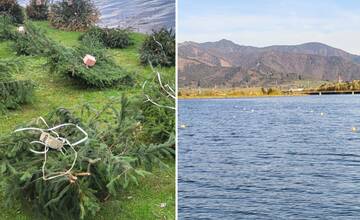 FOTO: V žilinskom vodnom diele pláva takmer 200 hniezd zo smrekovej čečiny. Na čo slúžia?