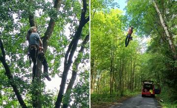 Vstup do lesoparku je počas augusta na vlastné riziko. Ak uvidíte zo stromov visieť ľudí, vyhnite sa im