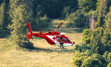 Útok medveďa na Liptove pripravil hubára o život. Šelma mu zasiahla jednu z hlavných tepien