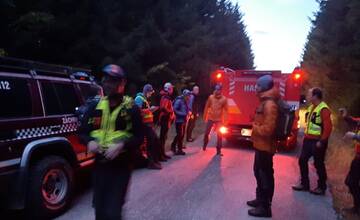Veľká pátracia akcia v Turci. V lese sa stratila hubárka, hľadali ju záchranári, psy aj drony