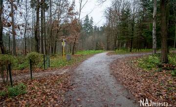 V Lesoparku Chrasť vysadia 4500 nových stromčekov. Zmiešaný les bude odolnejší voči škodcom