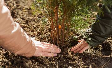 Zanechajte v Žiline zelenú stopu. Dobrovoľníci v Lesoparku Chrasť vysadia stromčeky