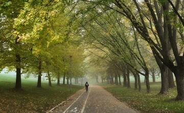 Rezort dopravy rozdá peniaze na cyklotrasy. Medzi úspešnými žiadateľmi je aj Žilina