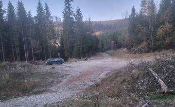 Stretnutia s medveďmi na Kysuciach pribúdajú. Vyhnite sa tejto oblasti, varuje obec