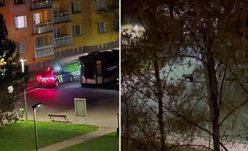 Aktualizované: Medveďa hľadá aj dron s termovíziou, presúva sa smerom na Strečno