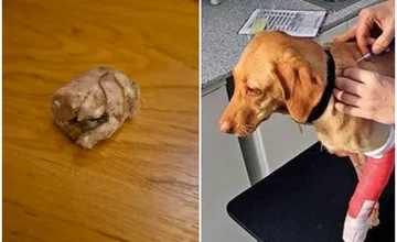 Na Solinkách sa objavili párky s ostrými predmetmi, dajte pozor na svoje zvieratká!