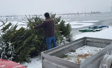 FOTO: Vianočným stromčekom v Žiline našli nové využitie. Ukotvia ich do vodnej nádrže