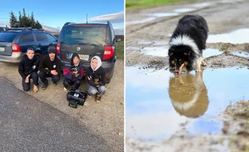 Dobrovoľníci pomáhajú majiteľom hľadať stratené zvieratká. Pomôžete im kúpiť nový dron?