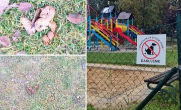 Nahnevaný občan navrhuje založiť iniciatívu #SolinkyBezHovien. Ďalší hovorí o DNA testoch psov