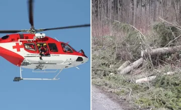 Tragédia pri Bytči: Pod spadnutým stromom našli človeka bez známok života. Zomrel rovno pri aute