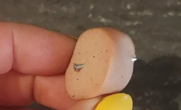 Nenávisť sa stupňuje: Na Solinkách sú opäť nástrahy na psy. Do panelákov nepatria, píšu niektorí