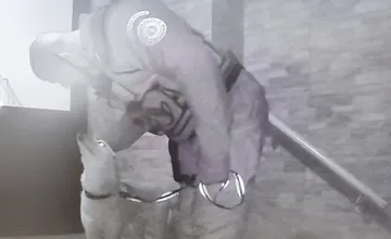 Po Ružomberku sa túlal stratený psík, policajti našli majiteľa. Čo odkazujú psíčkarom?