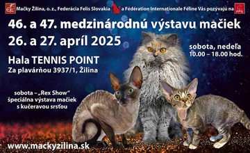 Víkend v Žiline bude opäť plný mačiek, ale aj kučier a vlniek