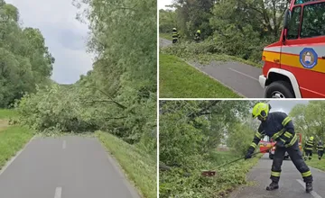 VIDEO: Na obľúbenú cyklotrasu spadol strom. Situáciu zachránil poslanec, hasiči a policajti