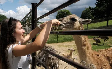 Dezinfekcia rúk, zákaz kŕmenia či chytania zvierat. V zoologických záhradách platia prísne pravidlá