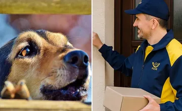 Psy ohrozujú poštárov aj v Rajci, počet incidentov stúpa. Zabezpečte si ich, prosí mesto