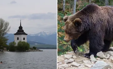K turistom na Liptovskej Mare prišiel medveď, ušli pred ním do člna. Nebál sa ani hluku