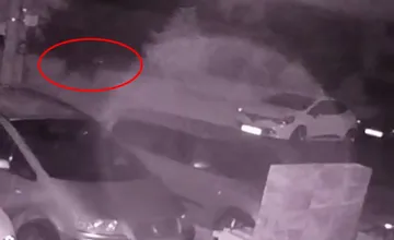 Medvede v ďalších obciach Žilinského kraja: Jedného natočila kamera na dome, druhý vbehol autu do cesty