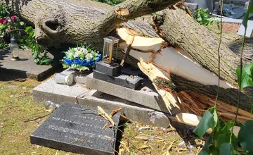 Vietor v Žilinskom kraji lámal stromy. Hasiči počas búrok zasahovali viac ako päťdesiatkrát