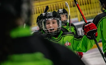 Žilinskí poslanci schválili podnájom ľadovej plochy pre mladých Vlkov za symbolické 1 euro