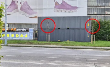 Náhradná výsadba stromov na Hlinách nevydržala. Pri veľkogarážach pribudli kontajnery