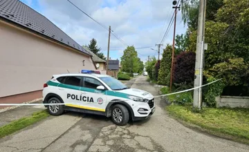 Martinčan terorizoval staršiu tetu, u ktorej býval. Chcel ju označkovať kliešťami a zakopať do hnoja