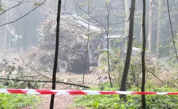 Choré jasene v žilinskom lesoparku ohrozujú návštevníkov. Začína sa ich výrub