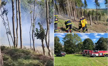 FOTO: Na Kysuciach vypukol lesný požiar. Horela haluzina po ťažbe dreva, hasenie komplikoval vietor