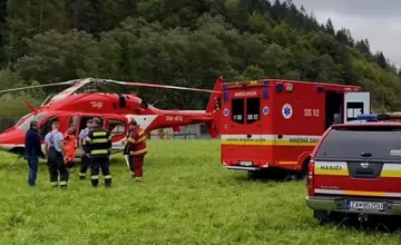 Pilčíka zachraňovali aj v žilinskom okrese. Padajúci strom ho trafil do chrbta