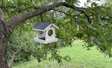 V Lesoparku Chrasť pribudli kŕmidlá pre vtáky aj veveričky. Čo im môžete nasypať a čo škodí?