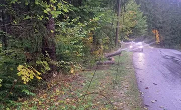 FOTO: Na Kysuciach hlásia poruchu. Popadané stromy potrhali káble na osvetlení aj optické káble