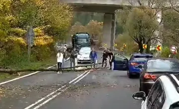 VIDEO: Na hlavný ťah I/18 spadol strom. Vodiči spojili sily a prekážku odstránili, dojali internet