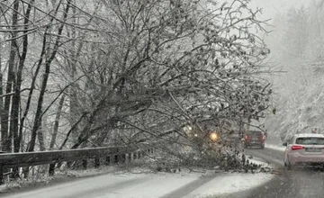 Cestu pod Strečnom blokuje spadnutý strom, tvoria sa veľké kolóny. Na miesto idú hasiči