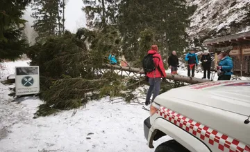 FOTO: Na turistov spadol strom, štyria skončili v nemocnici. Privalil ich na obľúbenej trase na Liptove