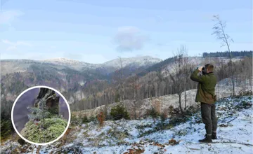 Chcete pracovať v prírode a mať istý plat? Na Kysuciach hľadajú lesníka, toľkoto si môže zarobiť